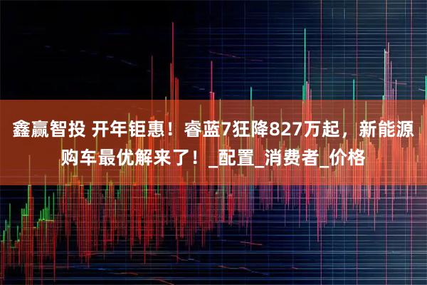 鑫赢智投 开年钜惠！睿蓝7狂降827万起，新能源购车最优解来了！_配置_消费者_价格
