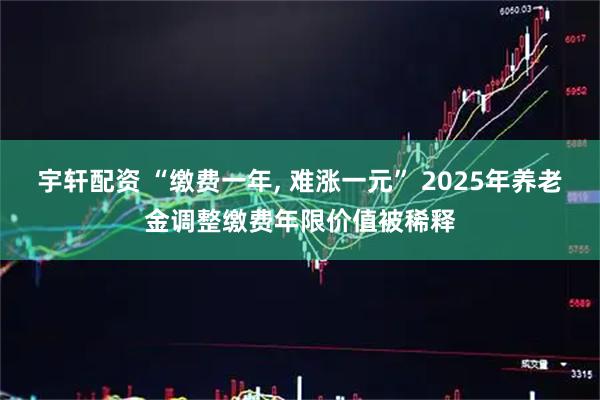 宇轩配资 “缴费一年, 难涨一元” 2025年养老金调整缴费年限价值被稀释