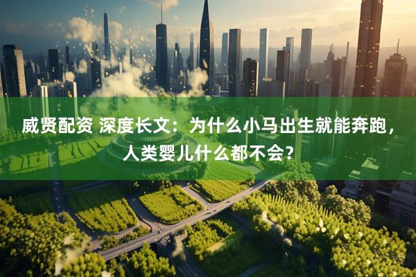 威贤配资 深度长文：为什么小马出生就能奔跑，人类婴儿什么都不会？