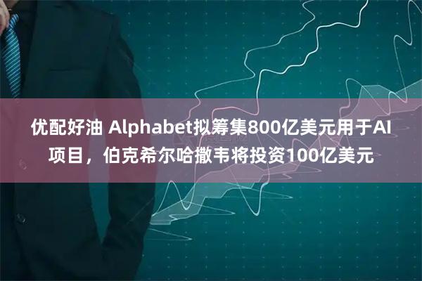 优配好油 Alphabet拟筹集800亿美元用于AI项目，伯克希尔哈撒韦将投资100亿美元