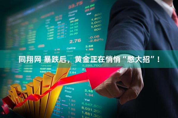 同翔网 暴跌后，黄金正在悄悄“憋大招”！