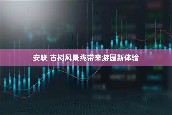 安联 古树风景线带来游园新体验