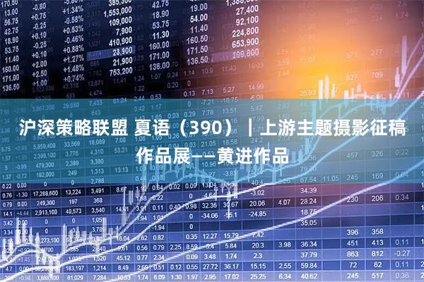 沪深策略联盟 夏语（390）｜上游主题摄影征稿作品展——黄进作品